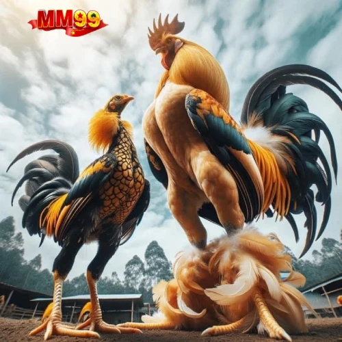 Mẹo Cá Cược Đá Gà Hiệu Quả Dành Cho Người Mới MM99 Tặng 99K Link MM99 Game Bài Slot Nổ Hũ Lớn 2025 Mẹo Cá Cược Đá Gà Hiệu Quả Dành Cho Người Mới